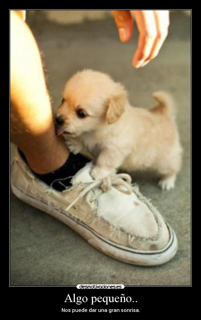 Algo pequeño.. | Desmotivaciones