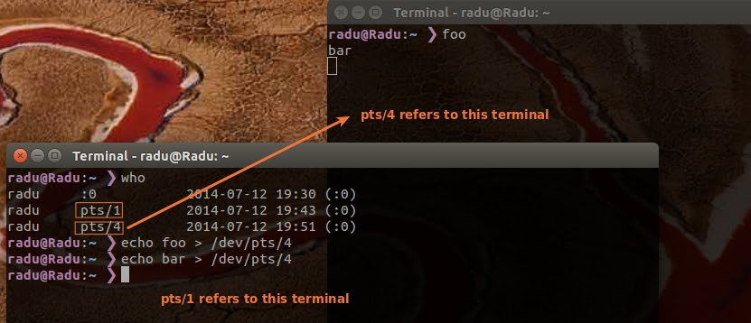 radu's terminal