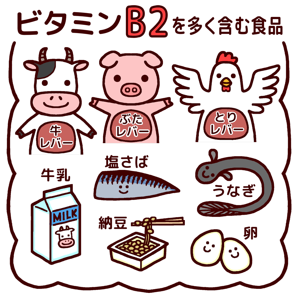 ビタミンb2を多く含む食品 カラー 給食の無料イラスト 生活 学校素材