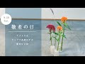 √ 敬老の日花といえば 278645-敬老の日花といえば