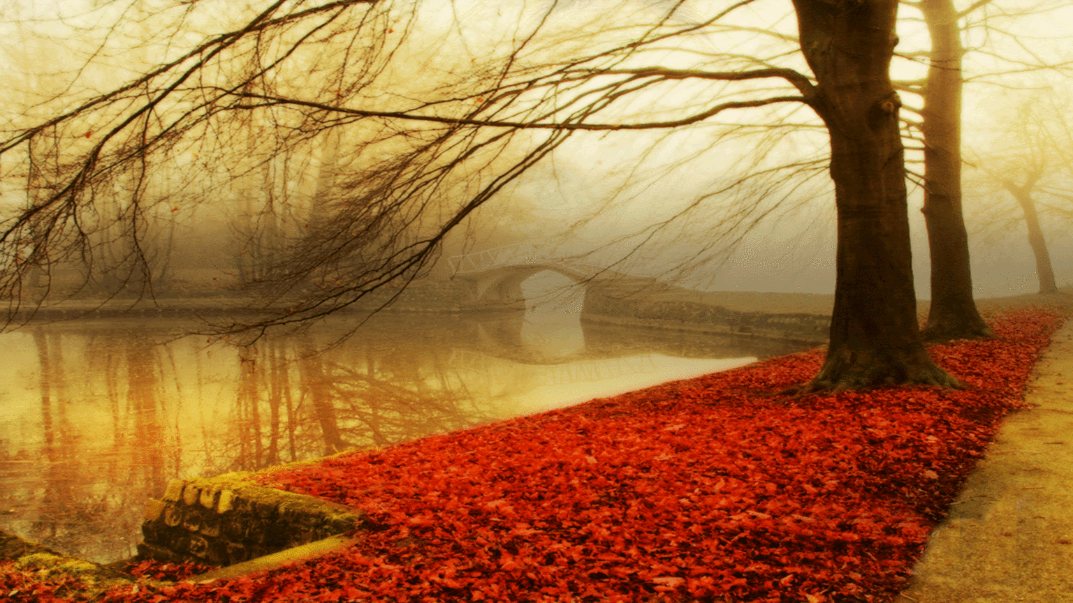 Nature Fall Wallpapers Wallpaper Cave