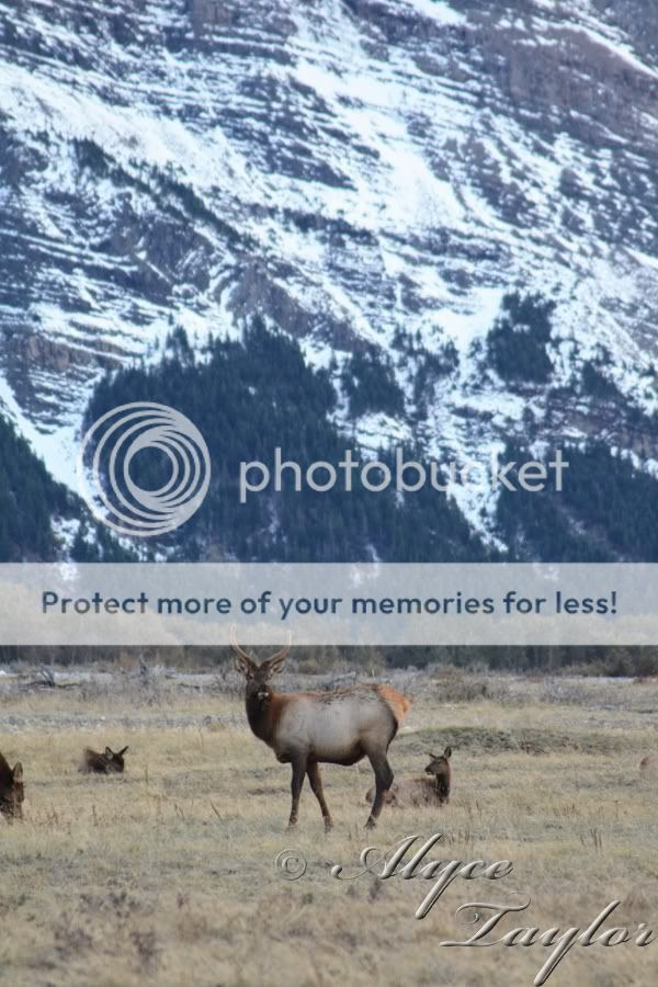 The Watcher - Photo of the Day - May 22nd, 2010