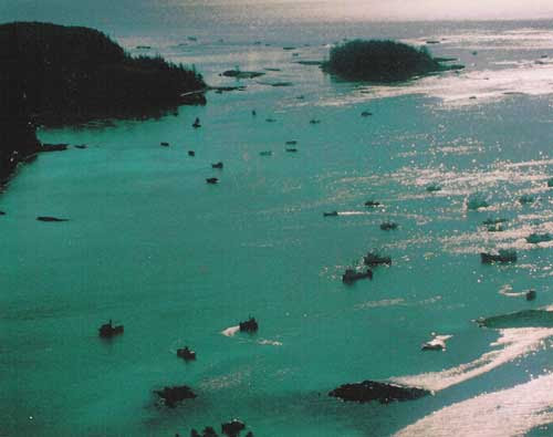cat island similitude