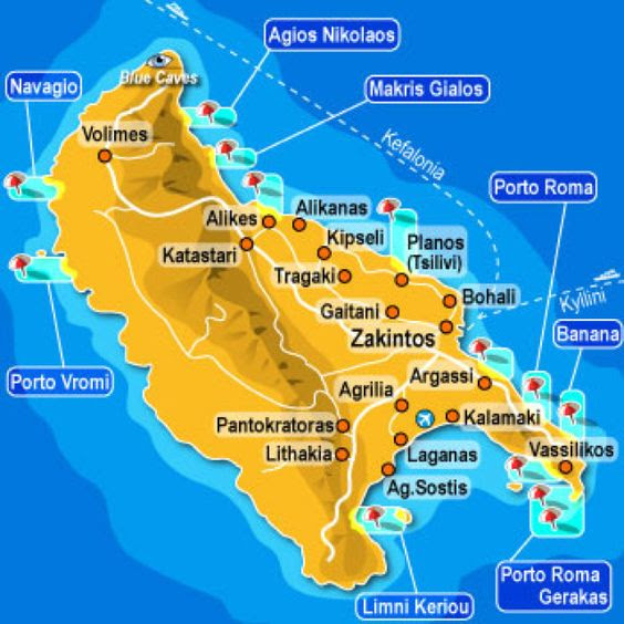 Piantina Zante