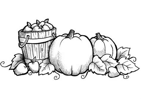 printable fall coloring pages  kids