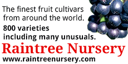 Raintree Nursery