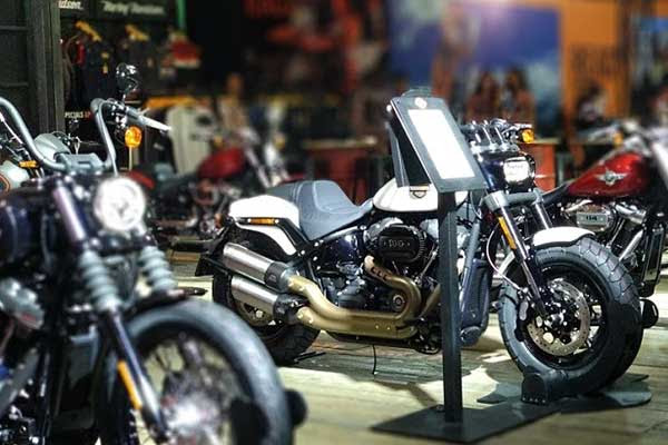 Harley Davidson Boyong Moge Cruiser  1 800 Cc