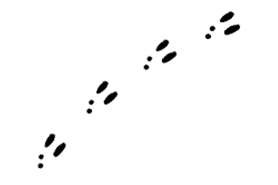 Free Free Bunny Tracks Svg 163 SVG PNG EPS DXF File