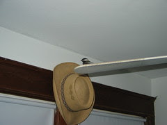 Bird on a fan