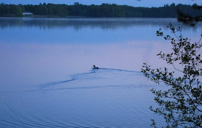 Mysigt att bara spana ut över sjön. Rössjöholm i bakgrunden