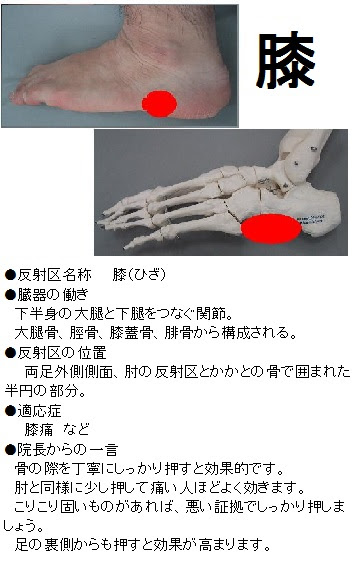 膝痛の改善に役立つ反射区 足つぼ