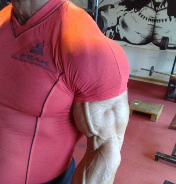 Big Muscle Nerds