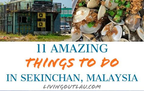 Kembara ke Sekinchan: Lawatan Harian Memikat yang Tidak Boleh Dilupakan!