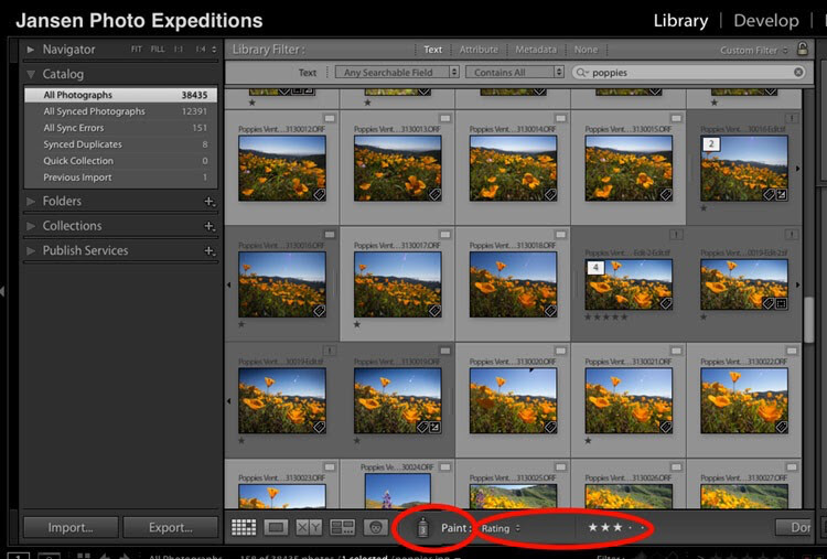Why Lightroom KeyWords and Star Ratings are Important for Your Photography Workflow 
