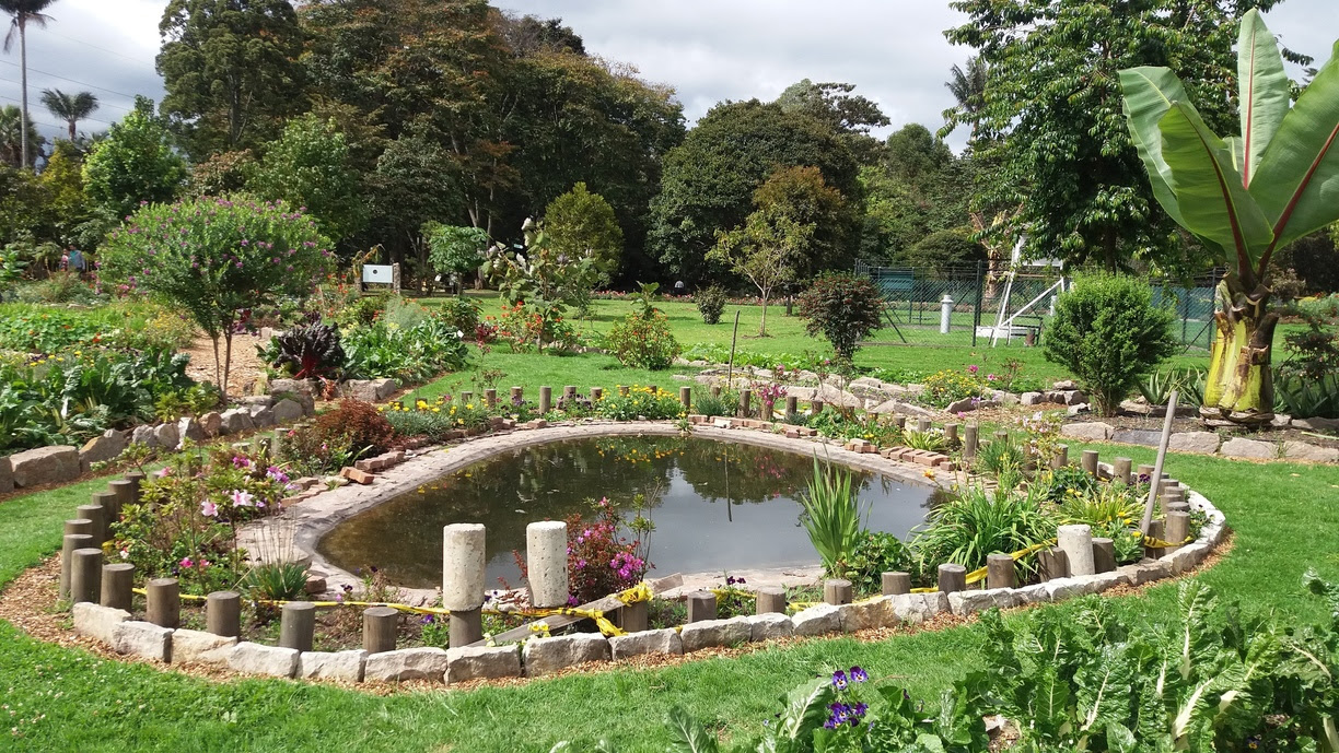 Jardín Botánico de Bogotá: Biodiversidad en la capital ...