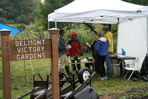 seed swap