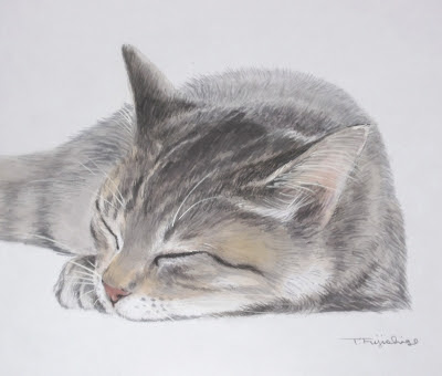 藤重日生の猫絵はどちらも色紙に描いたリアルなねこ達です 藤重日生の 猫絵 と 猫絵手紙