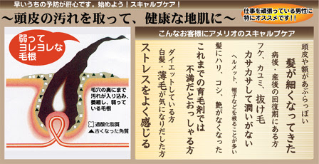 札幌 美容室 豊平区 ヘッドスパ 女性男性スキャルプケア