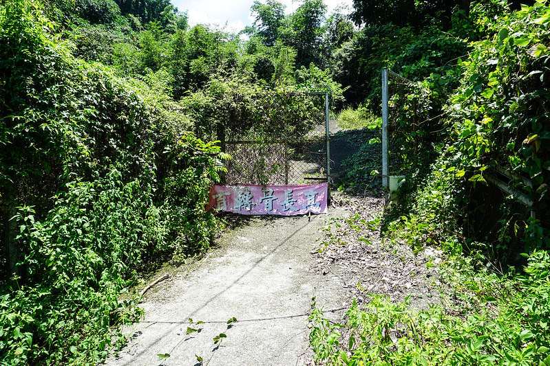 DSC07264