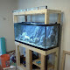 How To Build A 200 Gallon Fish Tank