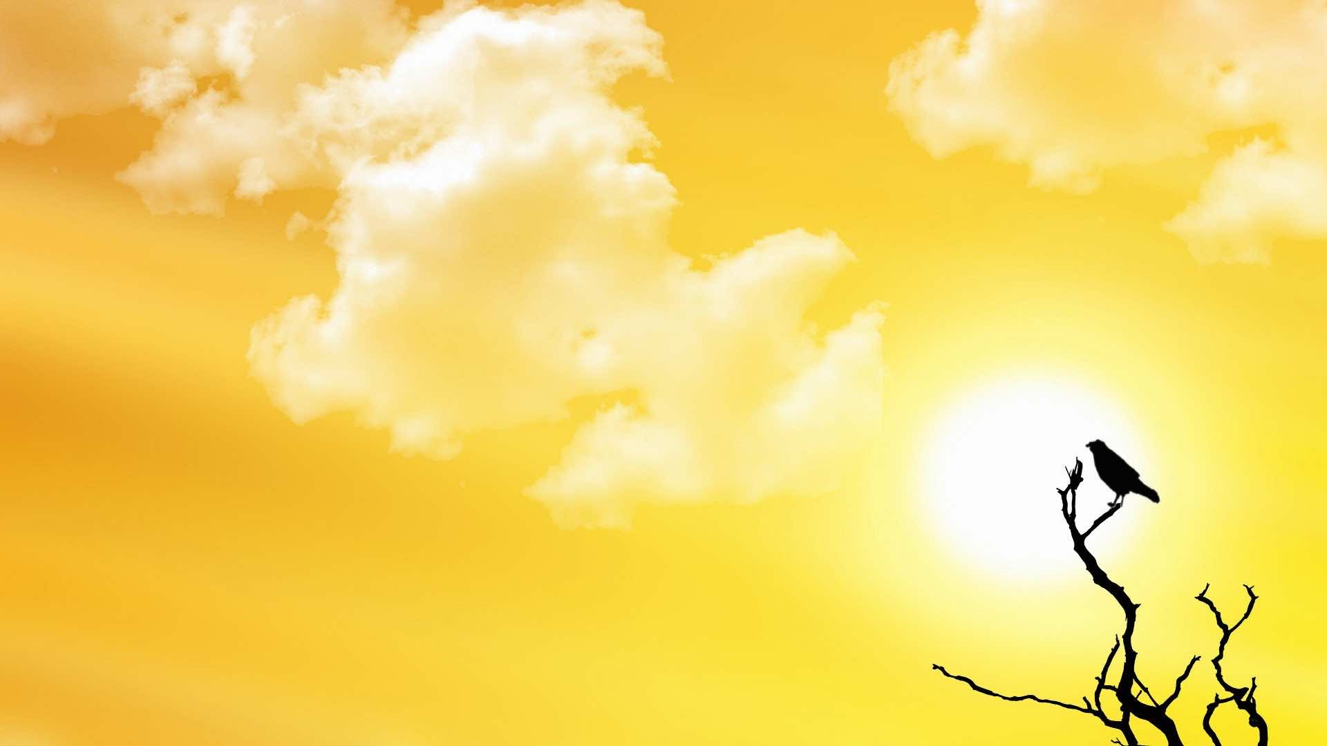 Download Download These 42 Yellow Wallpapers in High Definition For Free