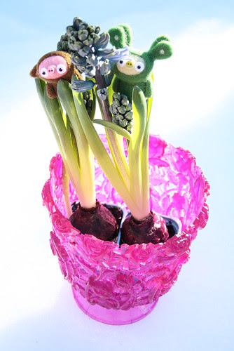 march 11, 2011 - kismet & jojo in hyacinth land