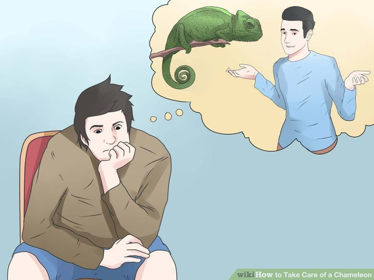 Take Care of a Chameleon Step 9 Version 2.jpg