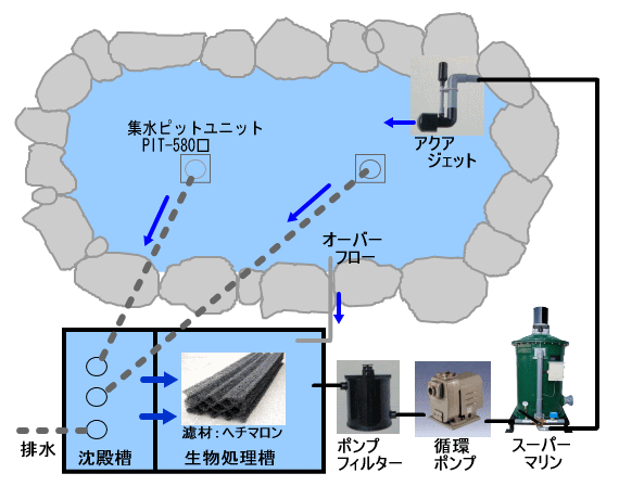 水造りの重要性 錦鯉を買う前にまず水を飼え 造園 池の構造など錦鯉を飼う池の基本知識