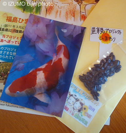 $極楽手帳～写真家＆タロット鑑定士EMYのブログ