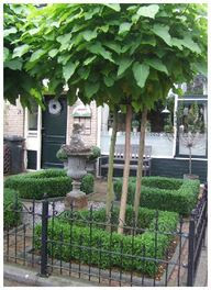 Landscaping & Garden Ideas