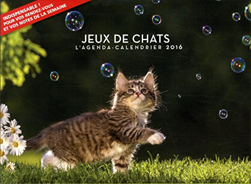 l'agenda-calendrier 2016 ; jeux de chats