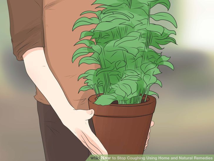 Stop Coughing Using Home and Natural Remedies Step 23.jpg
