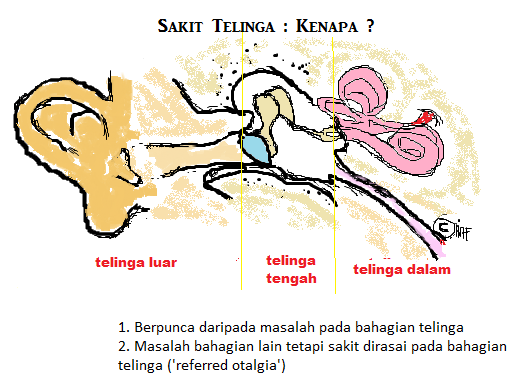 Sakit telinga – Perlukah ubat titis ?  An-Nisa' Saujana 