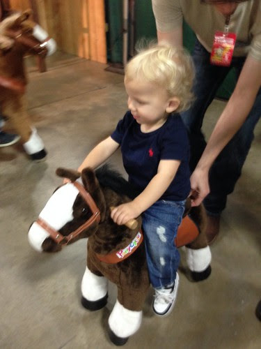 photo-10