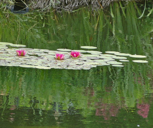 DSC03590