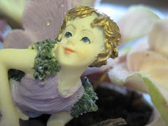 Fairy