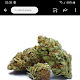 Ali Express Weed Seeds