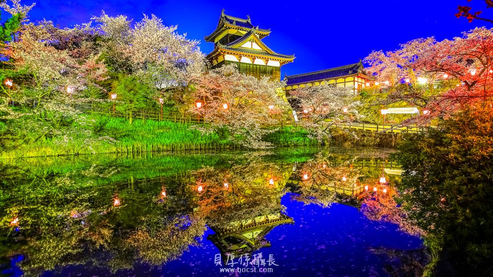 圖檔
