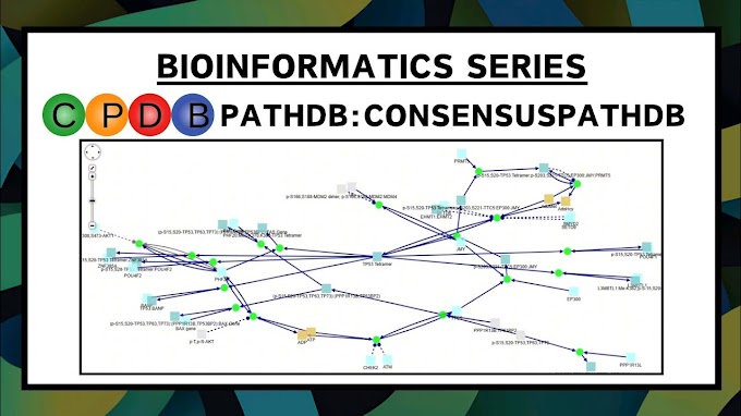 Exploring the Regulatory Pathways of tp53 Gene using Consensus Path DB Human