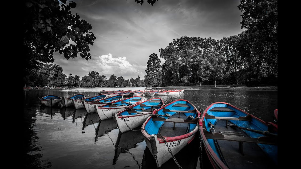 Comment isoler un lment color dans une photo noir et blanc
