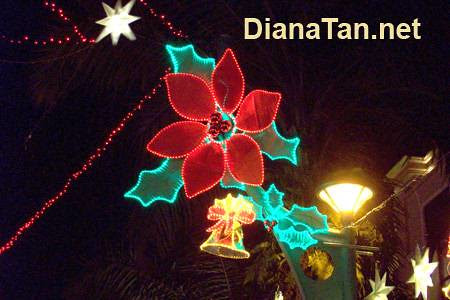 Christmas night lights
