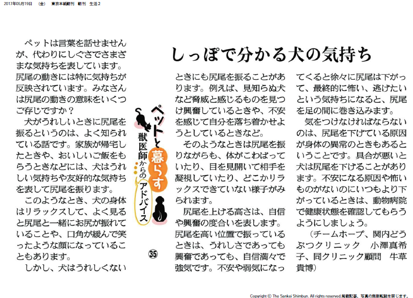 ペット健康コラム第35回 しっぽで分かる犬の気持ち Teamhopeご家族さま向けサイト 大切な家族 ペットの健康寿命をのばしたい