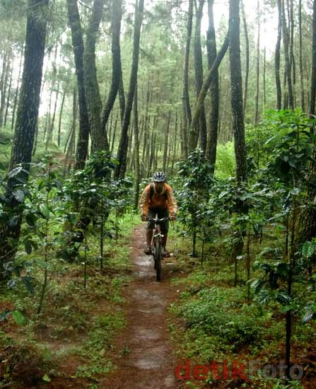 Main Lumpur di Tepi Sungai Palayangan