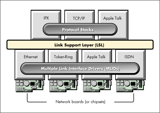 NEST architecture layers.