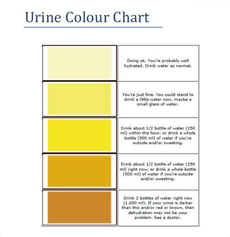  sample urine color chart template words color chart chart images