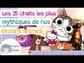 Meilleure collection prénom chat noir male 154139-Prénom chat noir male