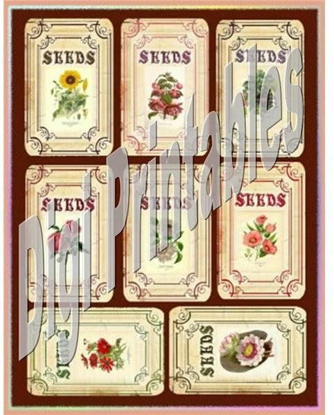 Where to Find Vintage Seed Packet Art for Your DTP Projects