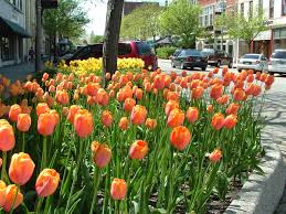 My Home Town