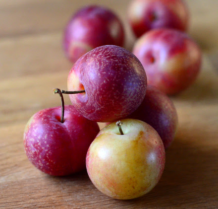 What Is A Cherry Plum Baking Bites