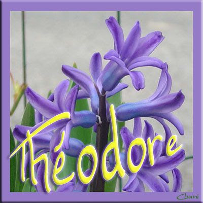 Joyeux Anniversaire Theodore Usc Septemes